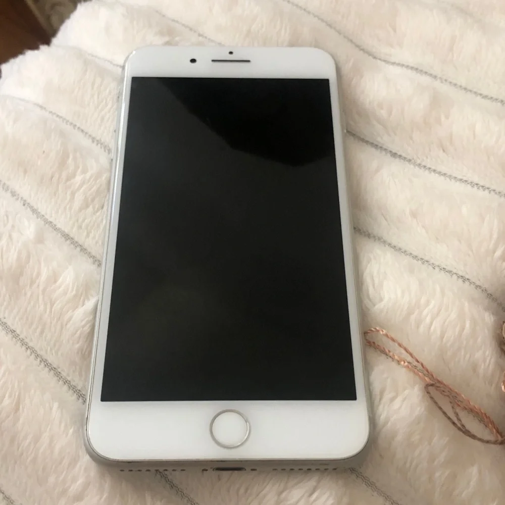 Apple iPhone White Front with Silver Trim